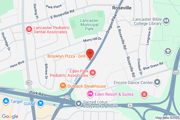 A Slice of Brooklyn Pizza