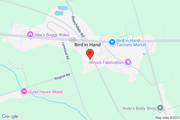 Storage Sense - Bird in Hand