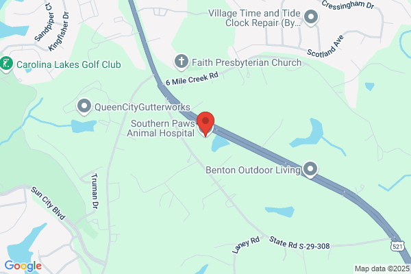 Southern Paws Animal Hospital