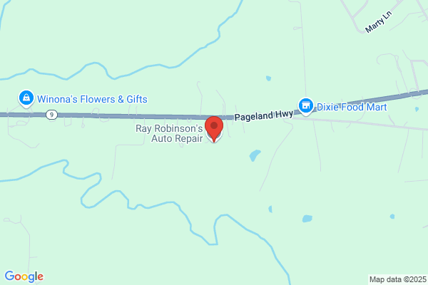 Robinson Ray Auto Repair