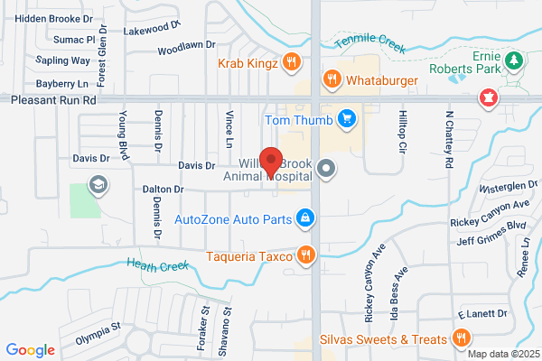 Garage Door Repair Lancaster TX