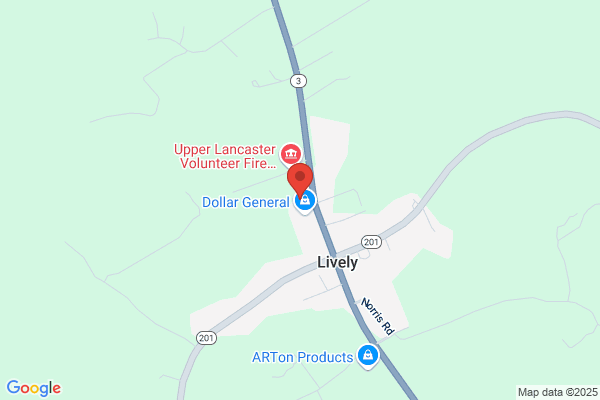 Lively Storage Inc