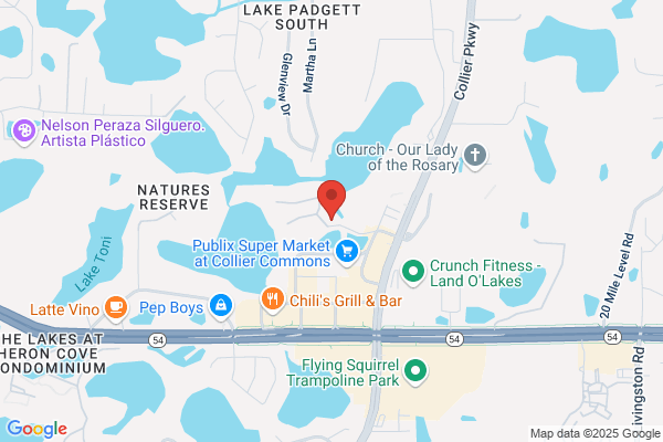Lakes At Collier Commons the