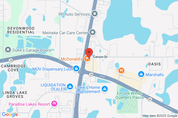 Wdsving Osorio, MD Palm Medical Centers - Central Pasco