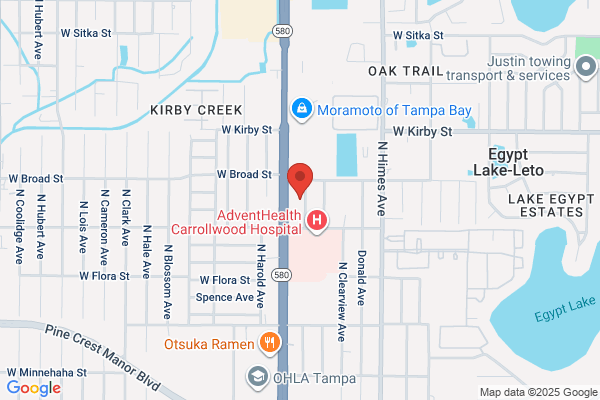Homewatch CareGivers of North Tampa