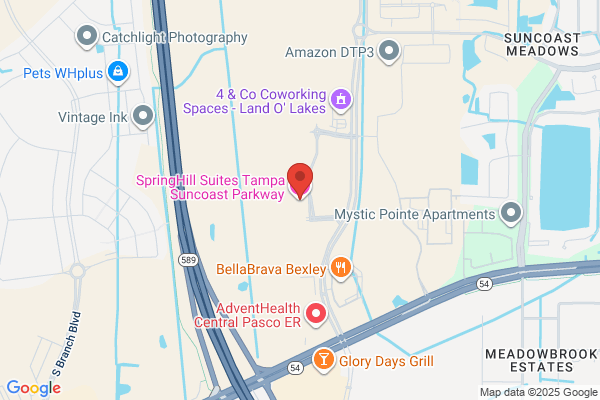 SpringHill Suites by Marriott Tampa Suncoast Parkway