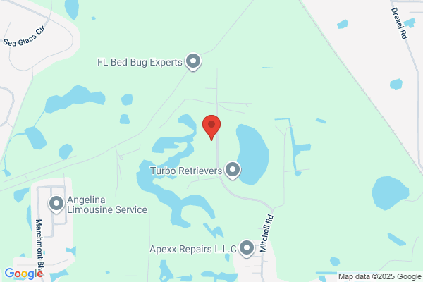 New World Services