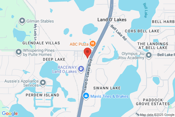 NAPA Auto Parts - Land O' Lakes Service Center