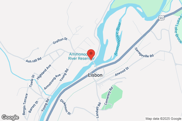 Lisbon Town of, Public Library
