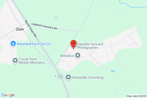 Danielle Vennard Photographer LLC