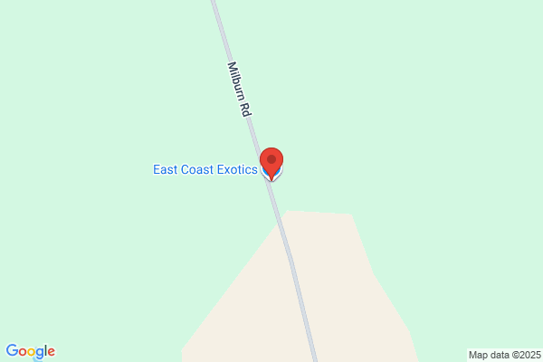 East Coast Exotics