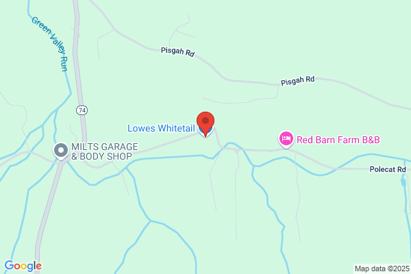 Lowe's Whitetail  and  Fritz Deer Lure