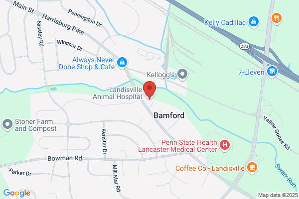 Landisville Animal Hospital