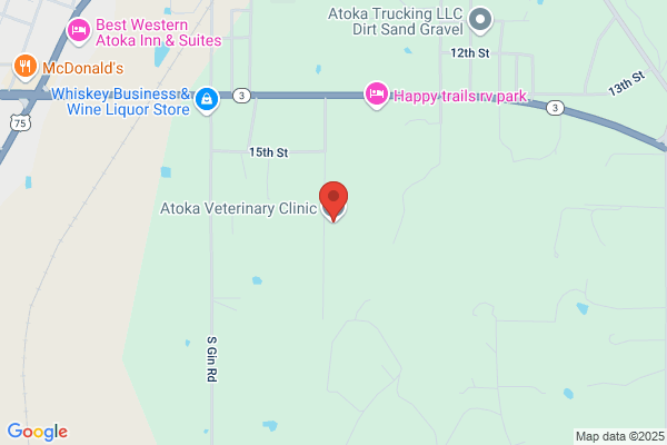 All Animal Veterinary Hospital