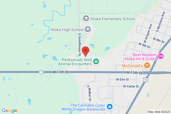 Atoka Public Schools, Middle School