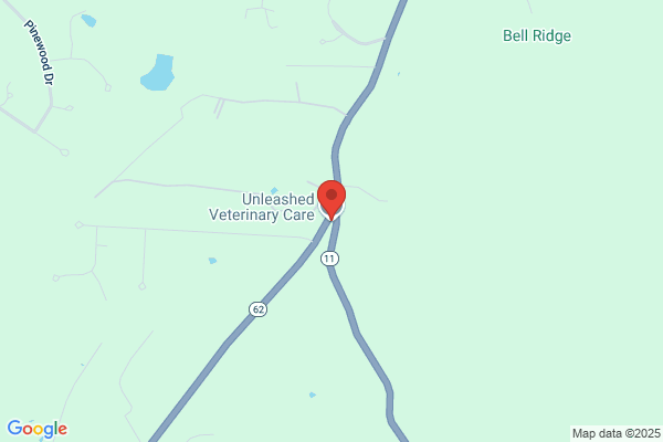 Animal Hospital Of Lanesville