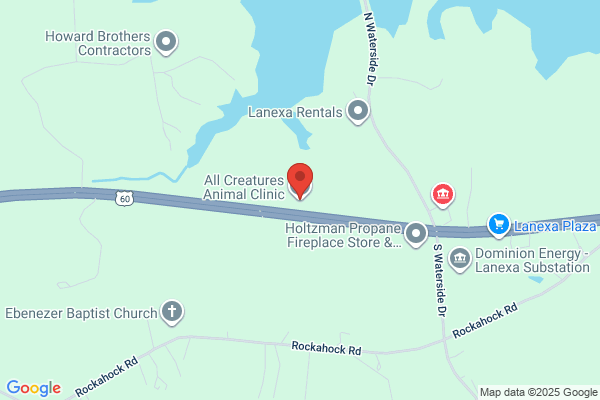 All Creatures Animal Clinic  Gary M Doxtater DVM