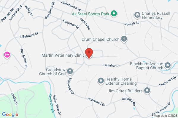 Martin Animal Hospital