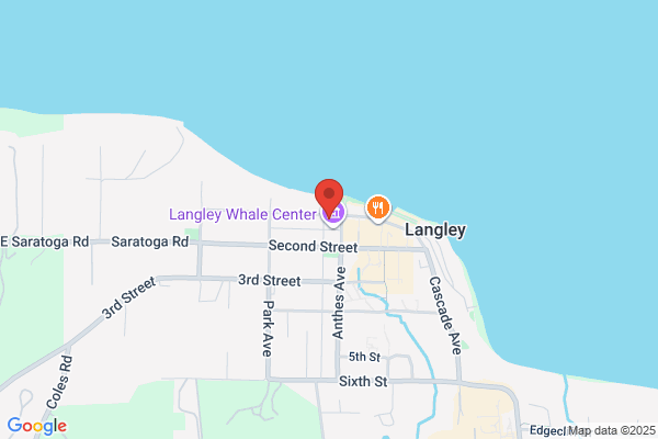 Langley Dental