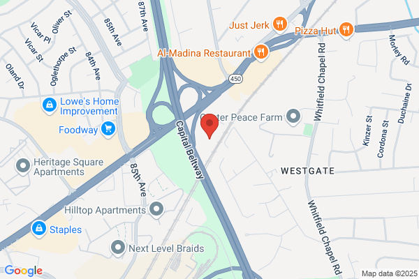 Avis Car Rental
