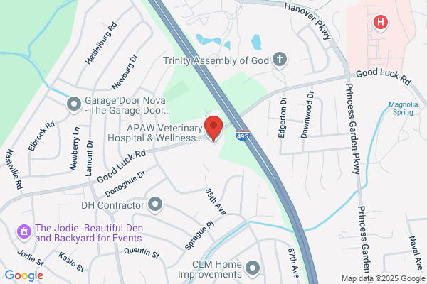 a.p.a.w. Veterinary Hospital