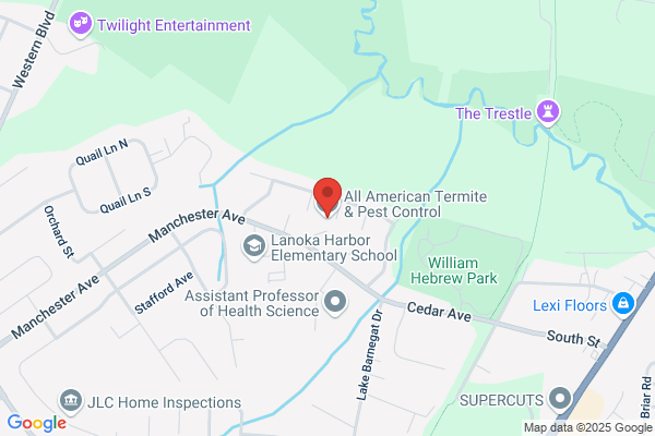 Above All Termite & Pest Control