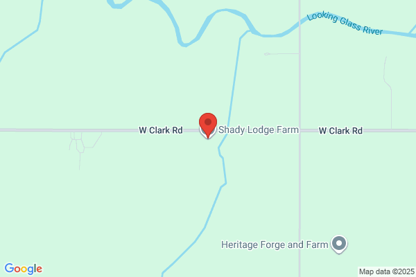 Shady Lodge Farm