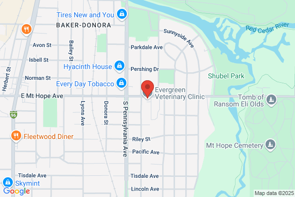 Triola's Estate Sale Service