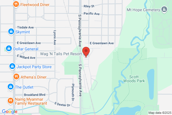 Wag 'N Tails Pet Resort