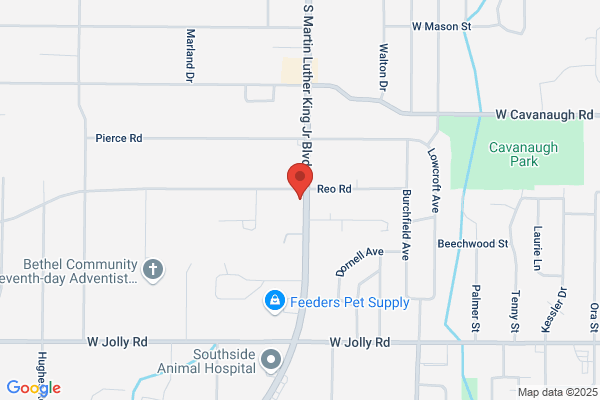 Willits Auto Supply