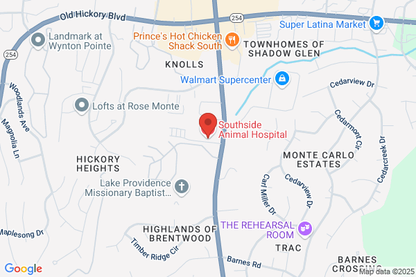 Southside Animal Hospital