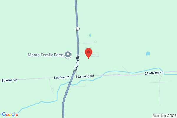 Moore's Christmas Tree Farm