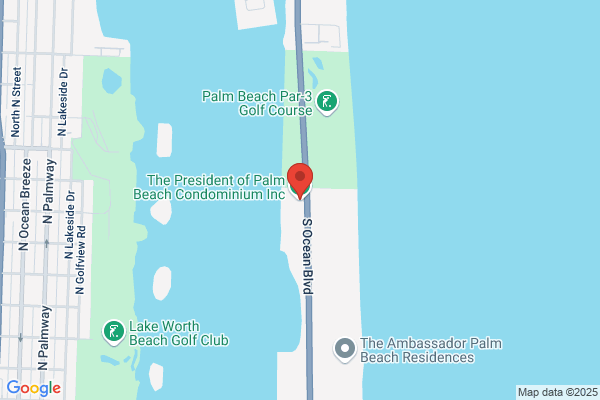 President of Palm Beach the-A Condominium