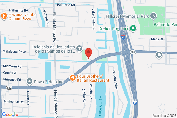 Palm Orthopaedic Institute Inc