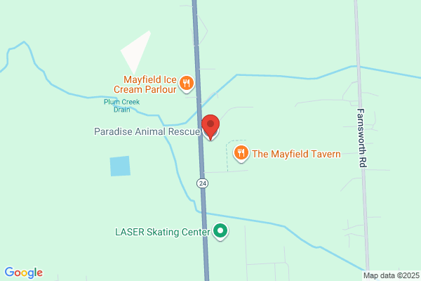Paradise Animal Rescue
