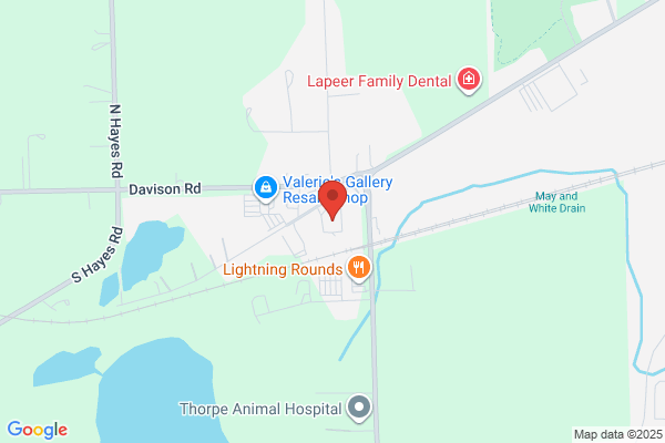 Fiber Link Inc