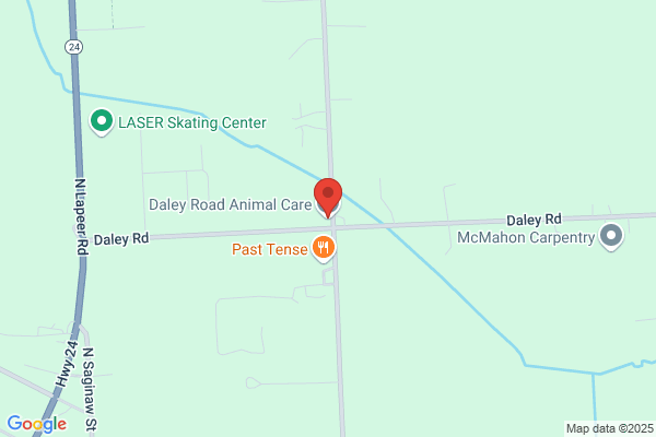 Daley Road Animal Care