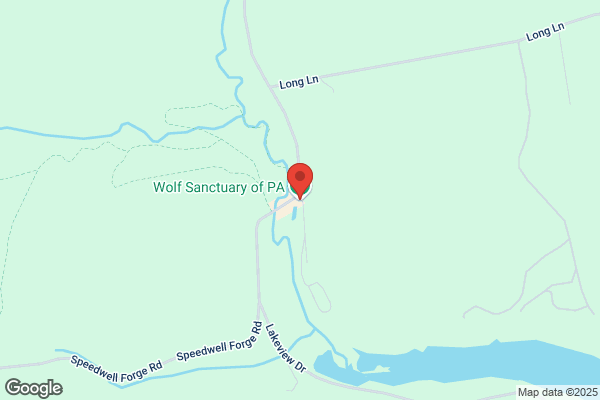 Wolf Sanctuary