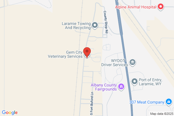 Gem City Veterinary Service