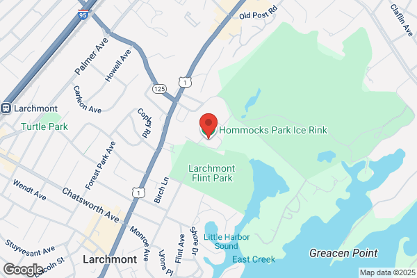 Hommocks Ice Concession