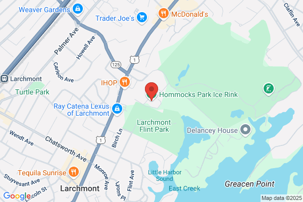Hommocks Park Ice Rink