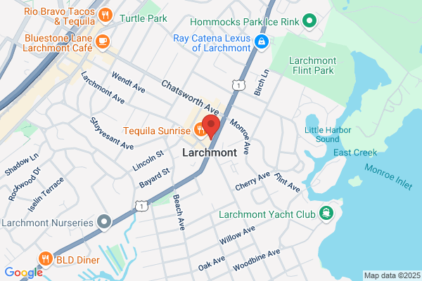 Rug & Carpet Cleaning Service Larchmont