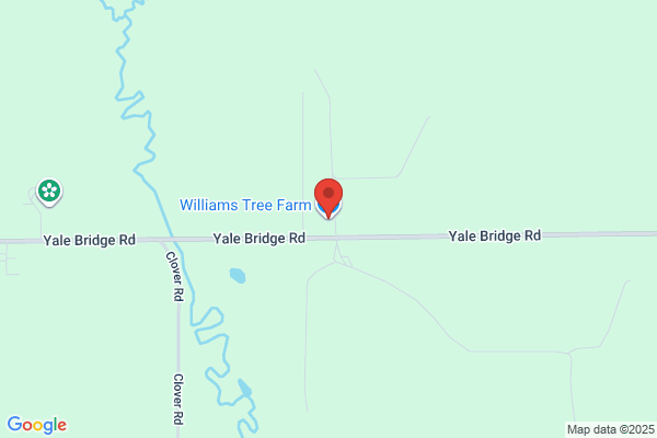 Williams Tree Farm