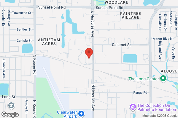 Cs International Dental Lab Inc