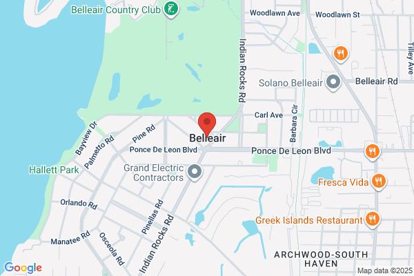 Dream Theaters of Belleair Inc