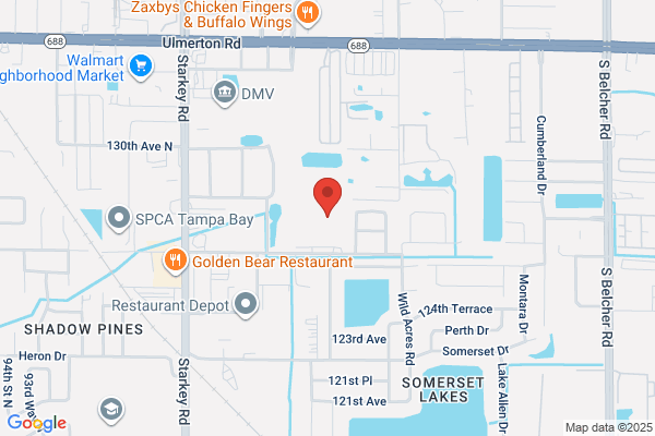 Paradyne Corporation