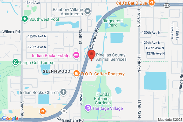 Animal Services Department Pinellas County