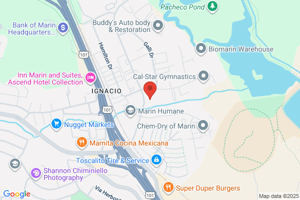 Stamm Patricia J MD
