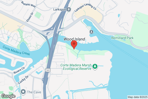 Bay Cities Mold Inspection Services