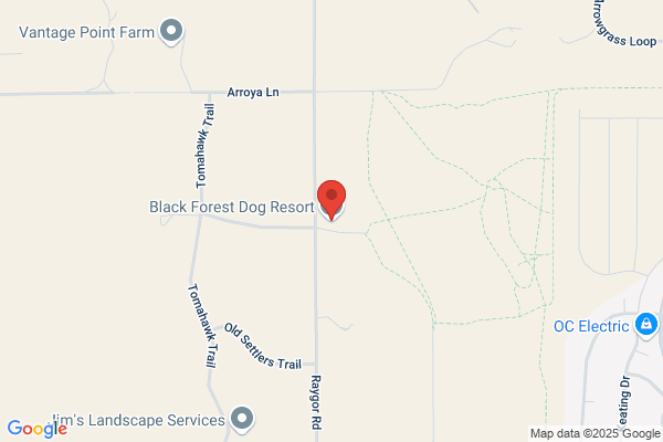 Black Forrest Kennel